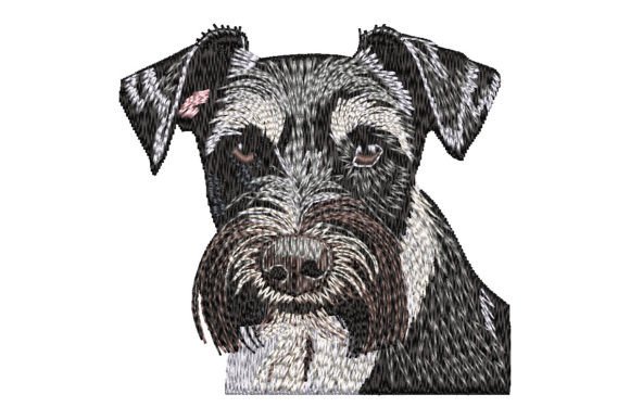 Charming Miniature Schnauzer Embroidery Design