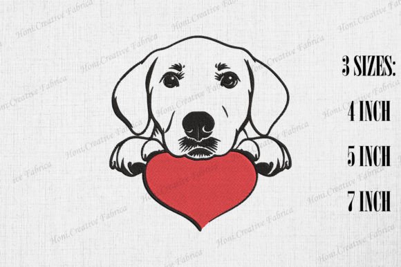 Labrador Retriever Peeking from Heart